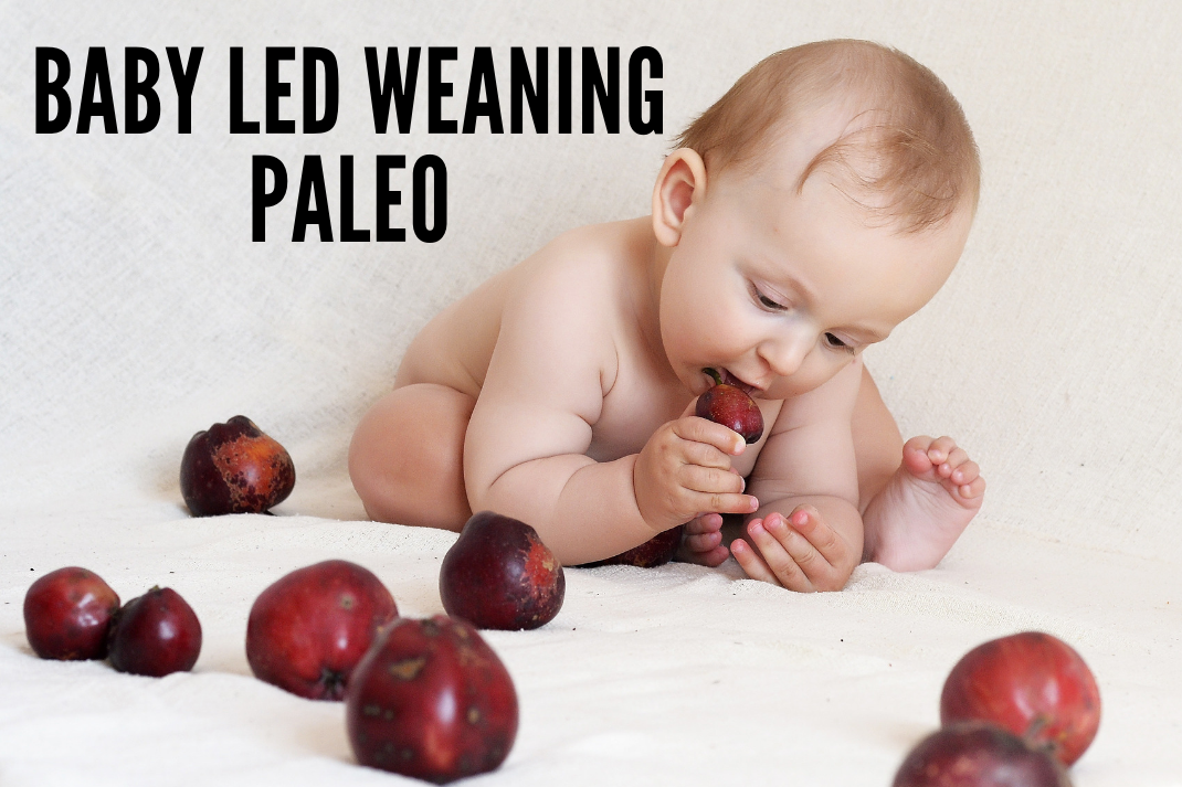 Baby Led Weaning... Paleo