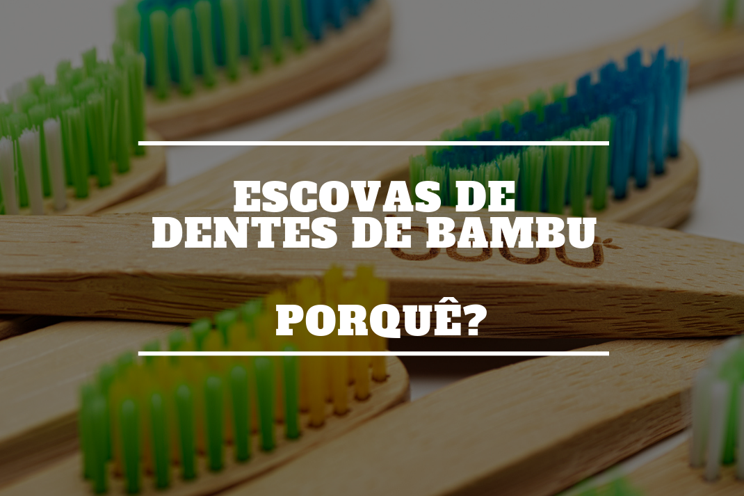 Escovas de dentes de Bambu - Porquê?